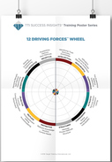 12 Driving Forces graphs poster- use with TTI 12 Driving Forces assessment, TTI Success Insights motivators assessments, TTI Performance Systems