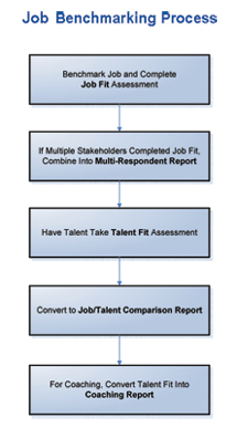 job benchmarking process using Job Fit, Talent Fit, Talent Insights, Task Quotient online assessments - TTI Performance systems