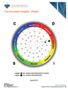 Executive online assessment page sample - CEO, CEOs, business owners, business owner, management, senior managers, decision makers, Executive, executive - TTI Performance Systems - TTI DISC assessment