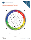 Interviewing Insights Sales online assessment report sample page - Interviewing Insights - Sales, TTI Performance Systems - TTI DISC assessments